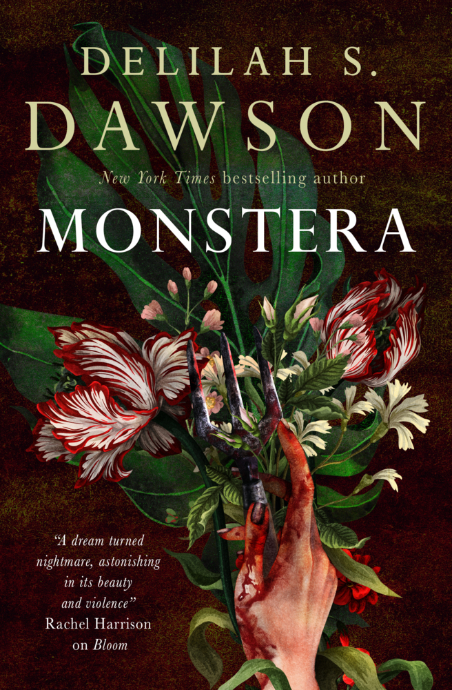 Monstera - Bild 4