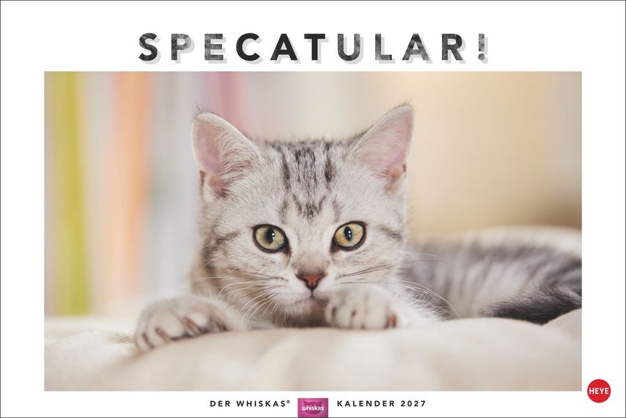 Heye Mehrfarbig Kalender, Specatular! Der Whiskas Katzenkalender 2027 - Image 10