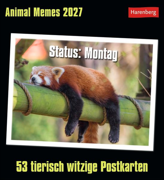 Animal Memes Postkartenkalender 2027 - 53 tierisch witzige Postkarten | Just - Image 10
