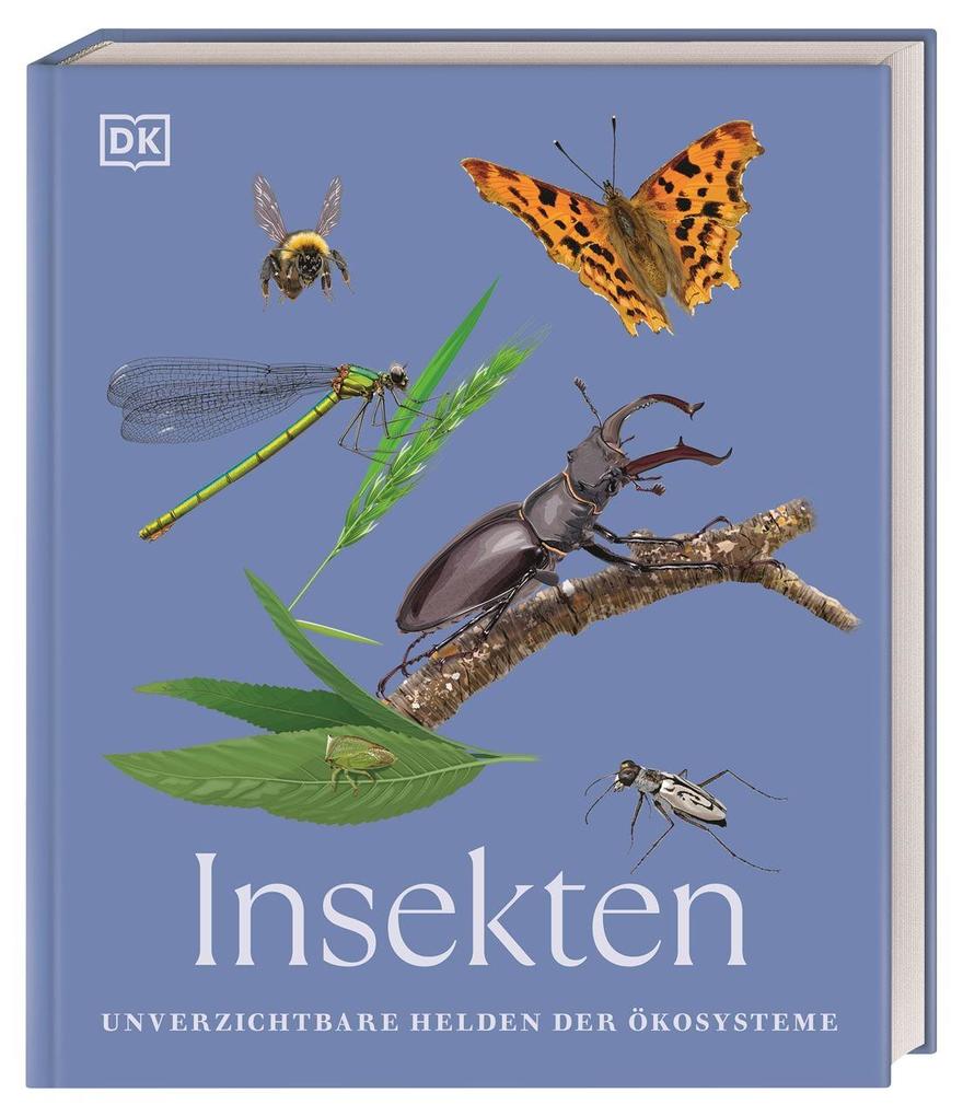 Insekten DK Verlag - Bild 6