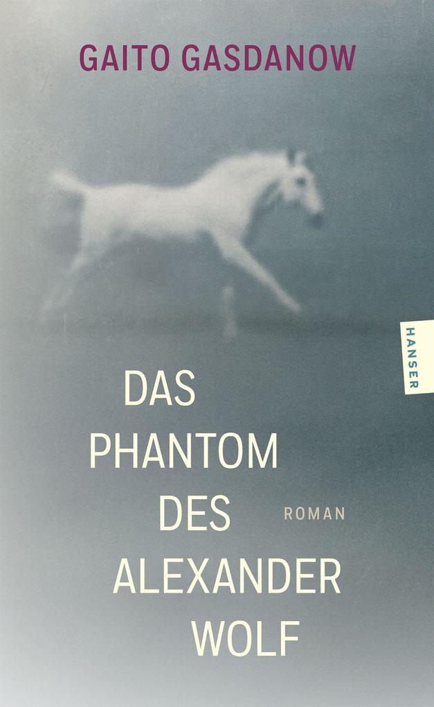Gaito Gasdanow: Das Phantom des Alexander Wolf - Taschenbuch - Bild 5