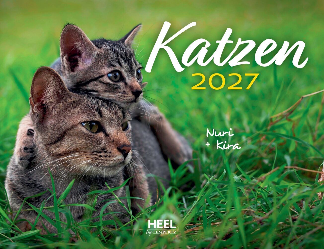 Katzen 2027 Eintragkalender - Bild 7