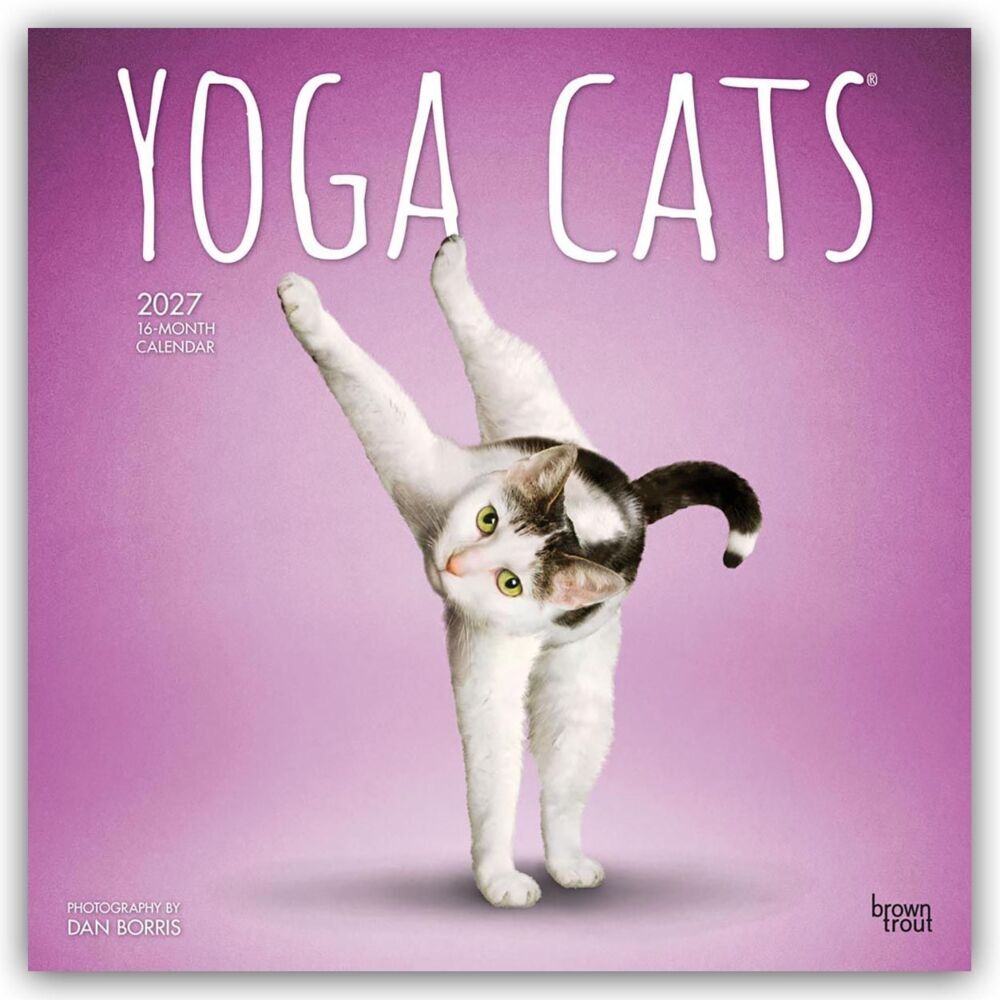 Yoga Cats - Katzen Yoga 2027 - 16-Monatskalender Browntrout Publishers - Image 5
