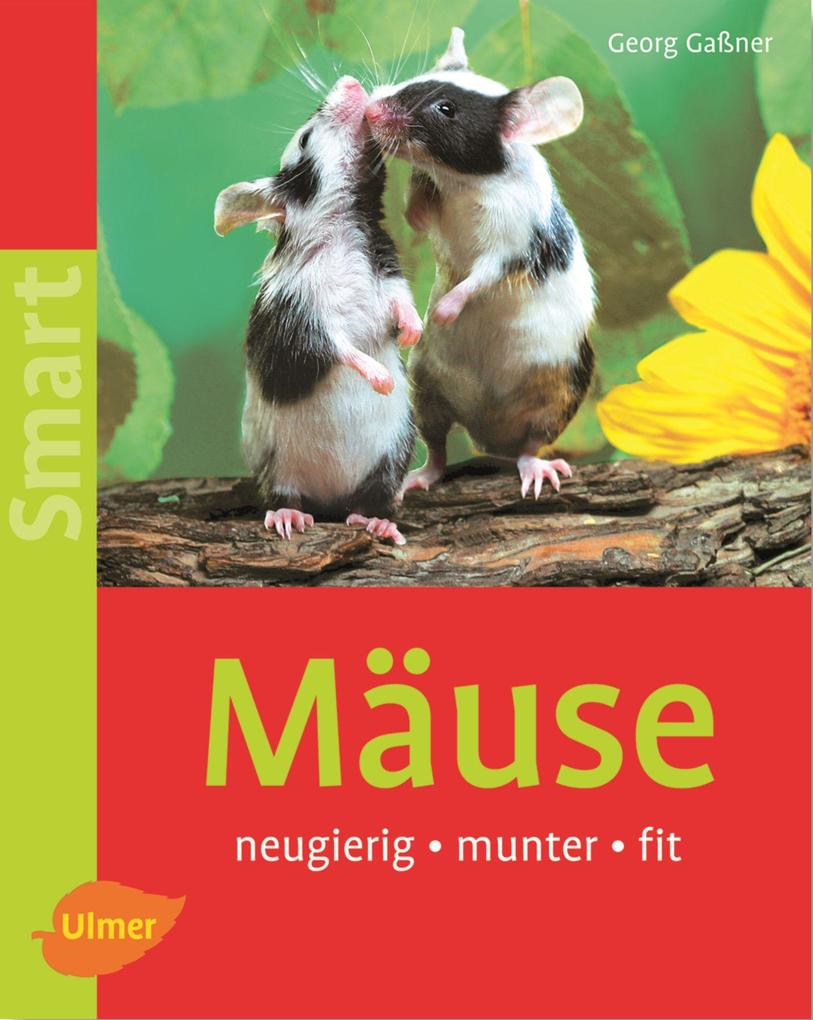 Mäuse Georg Gaßner - Bild 4