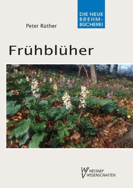 Wolf Verlagskg Frühblüher - Bild 5