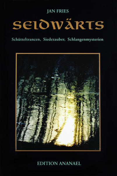 Seidwärts Jan Fries - Bild 3
