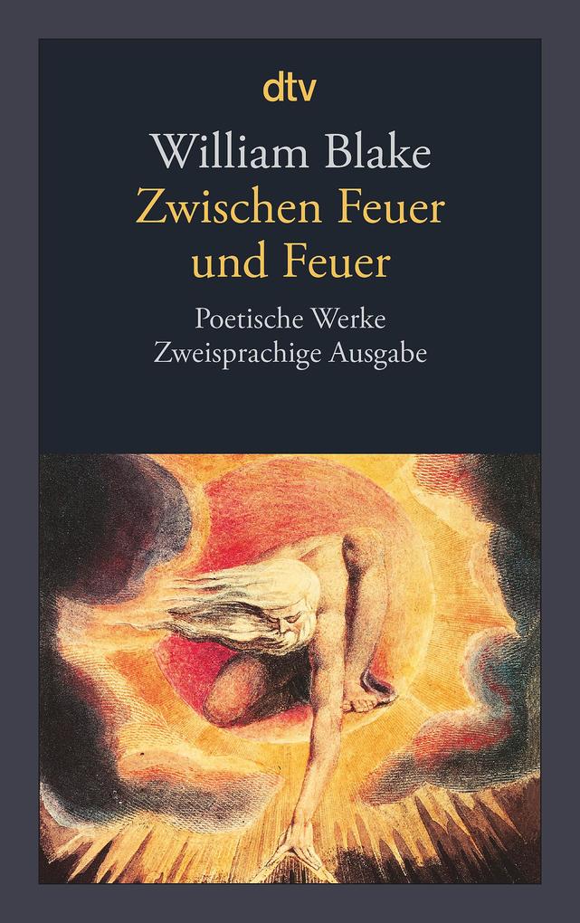 Dtv Verlagsgesellschaft Zwischen Feuer Und Feuer - Bild 4