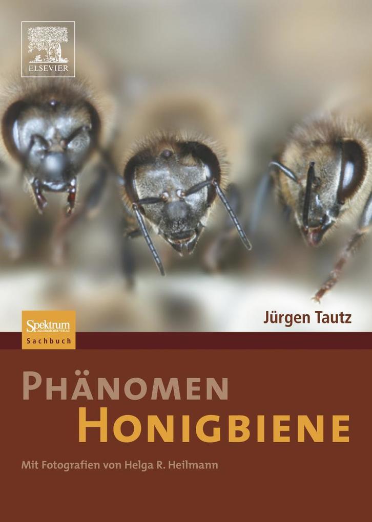 Spektrum Akademischer Verlag Phänomen Honigbiene - Bild 5
