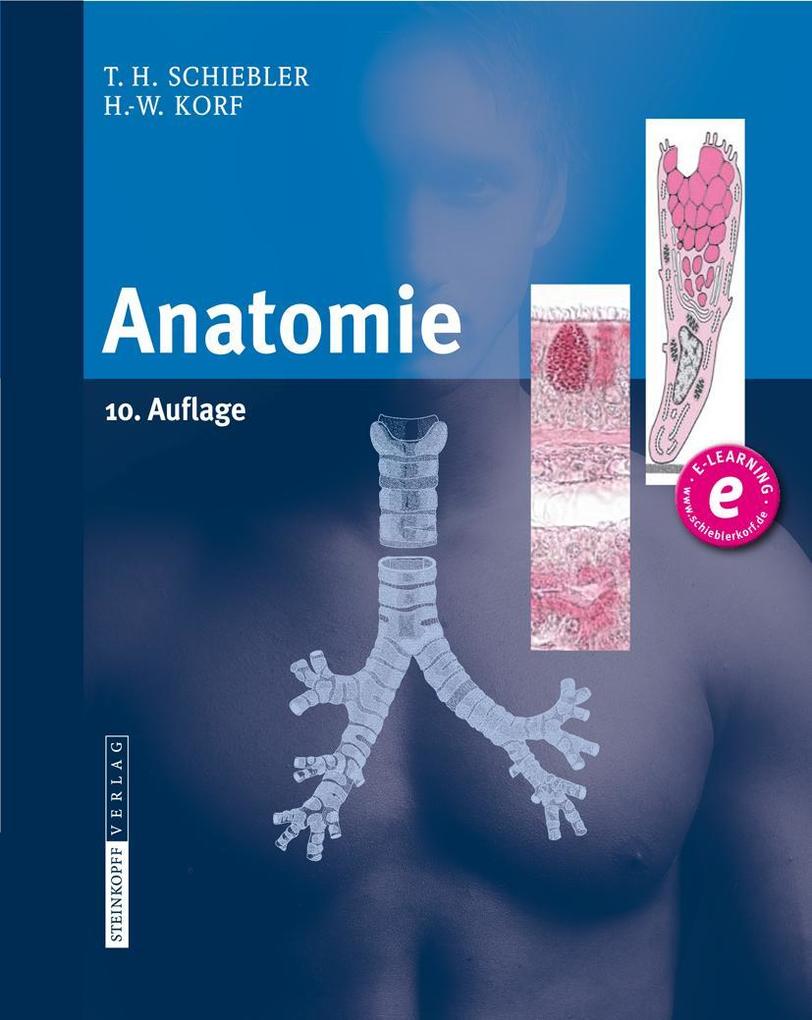 Anatomie - Theodor Heinrich Schiebler/ Horst-Werner Korf/ Theodor H. Schiebler/ Horst-W. Korf