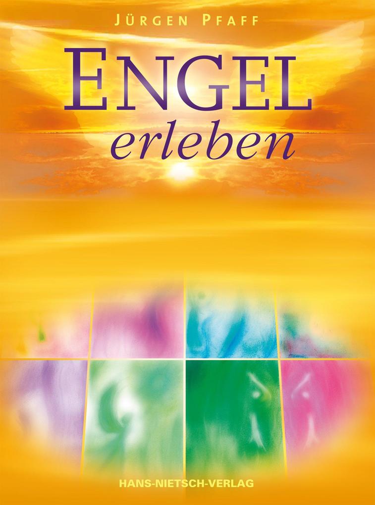 Nietsch H. Engel Erleben, Biografien Von Jürgen Pfaff - Bild 6