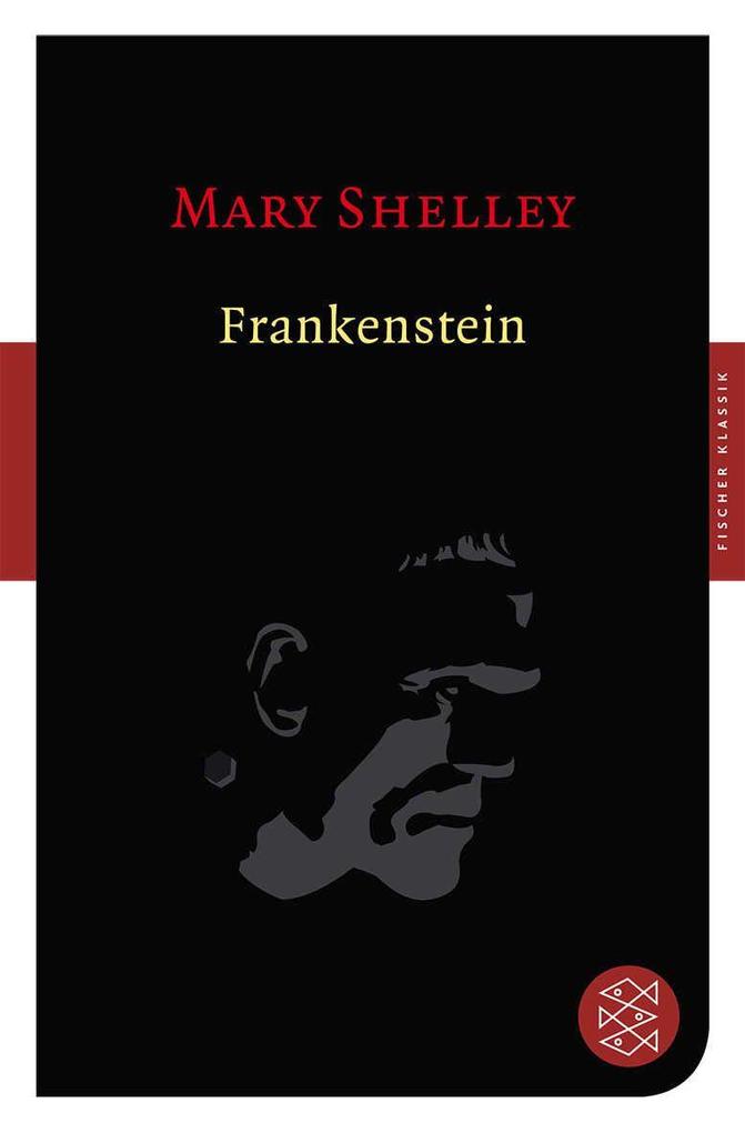Frankenstein: Roman (Fischer Klassik) - Bild 5