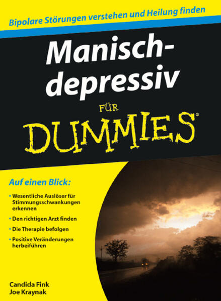 Manisch-depressiv für Dummies - Candida Fink/ Joe Kraynak/ Joseph Kraynak