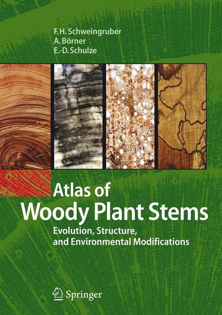 Atlas of Woody Plant Stems - Fritz Hans Schweingruber/ Annett Börner/ Ernst-Detlef Schulze
