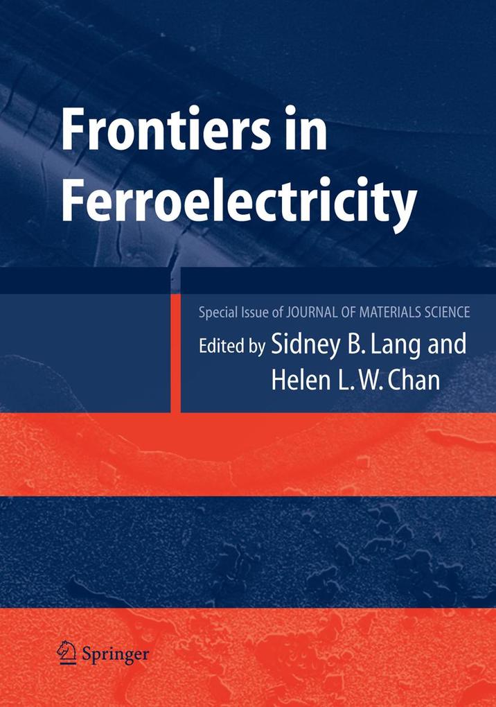 Frontiers of Ferroelectricity - Helen L. W. Chan/ Sidney B. Lang